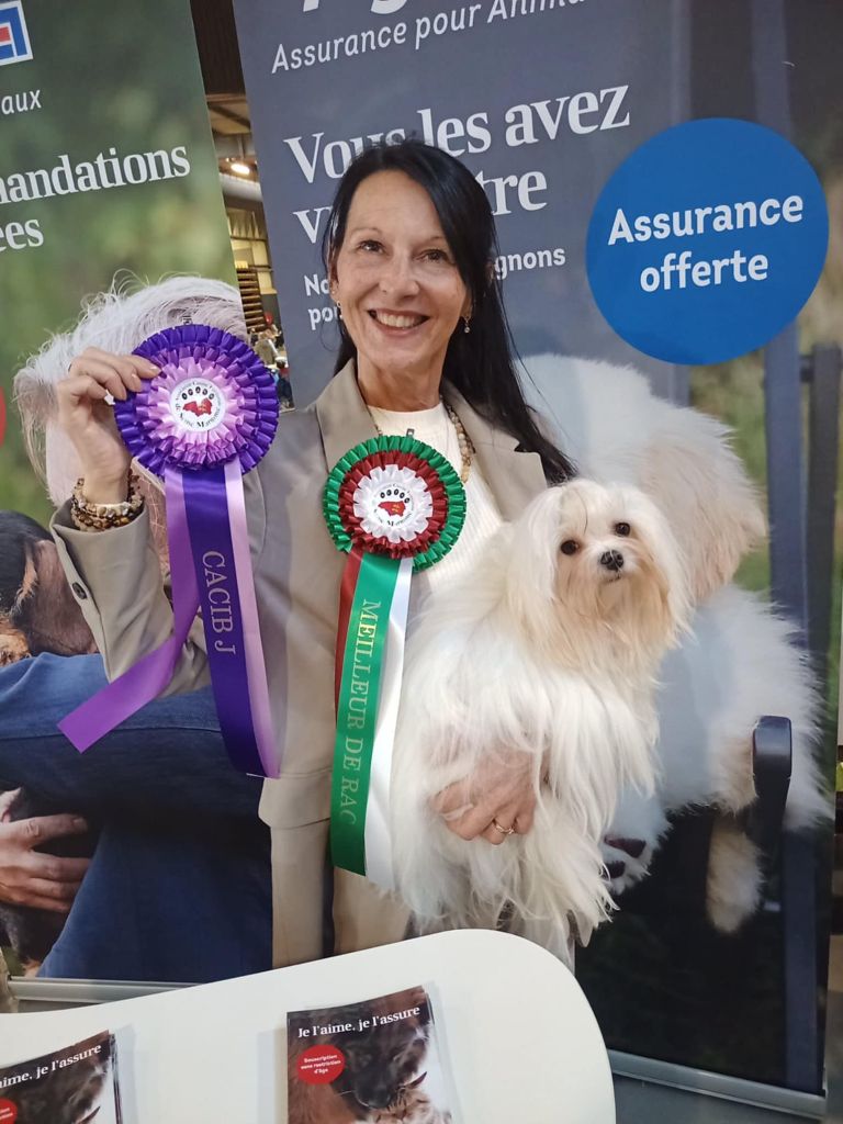 Uby CACIB et meilleure de race à ROUEN